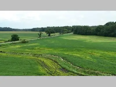 Witt Lake Road, Burr Oak, MI 49030 - #3