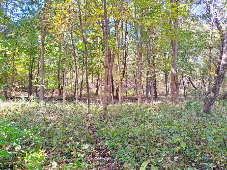 5 Acres Vacant Land 48th Avenue, Lawrence, MI 49064 - #3