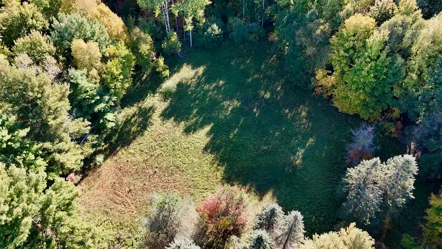 6945 Ward Road, Sterling, MI 48659 - #3