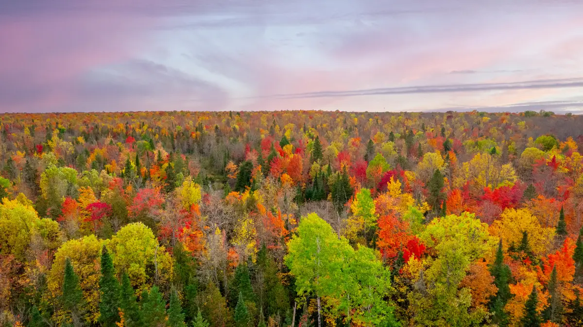 Lot 3A E Shore Road, Bergland, MI 49910 - #1