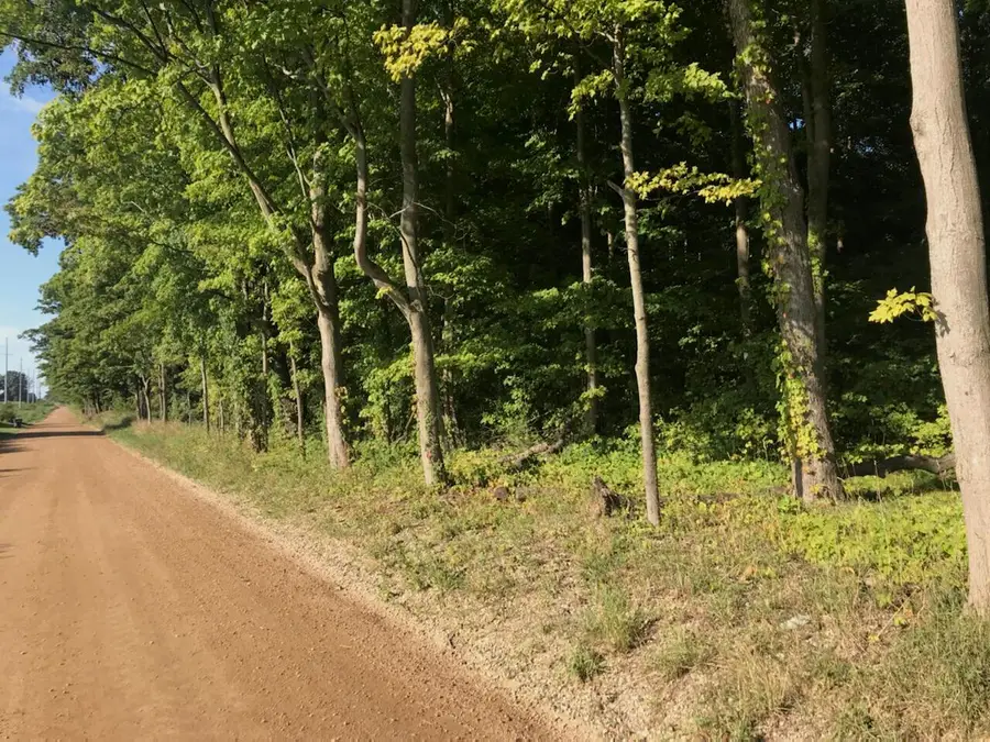 30 62nd Street, Decatur, MI 49045 - #3