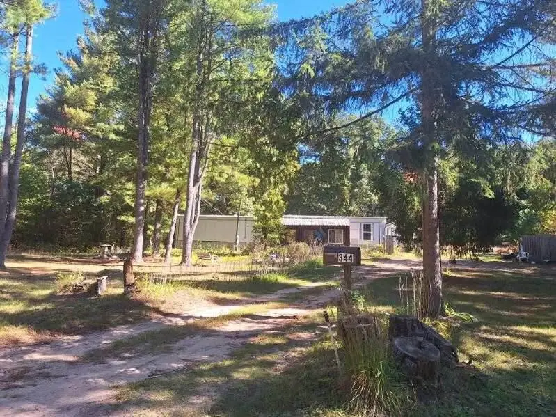 344 S Locust Avenue, White Cloud, MI 49349 - #1
