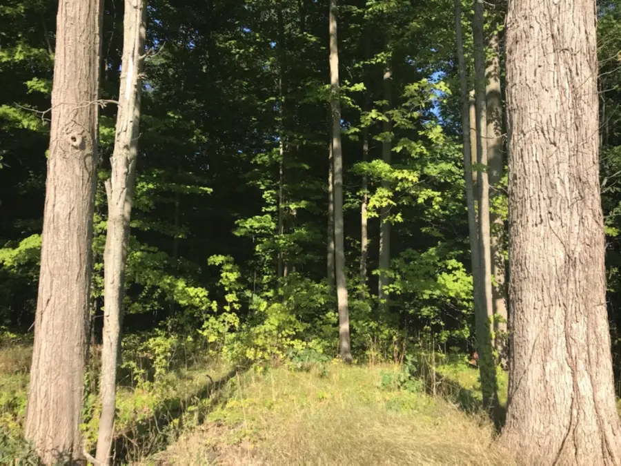 50 62nd Street, Decatur, MI 49045 - #3