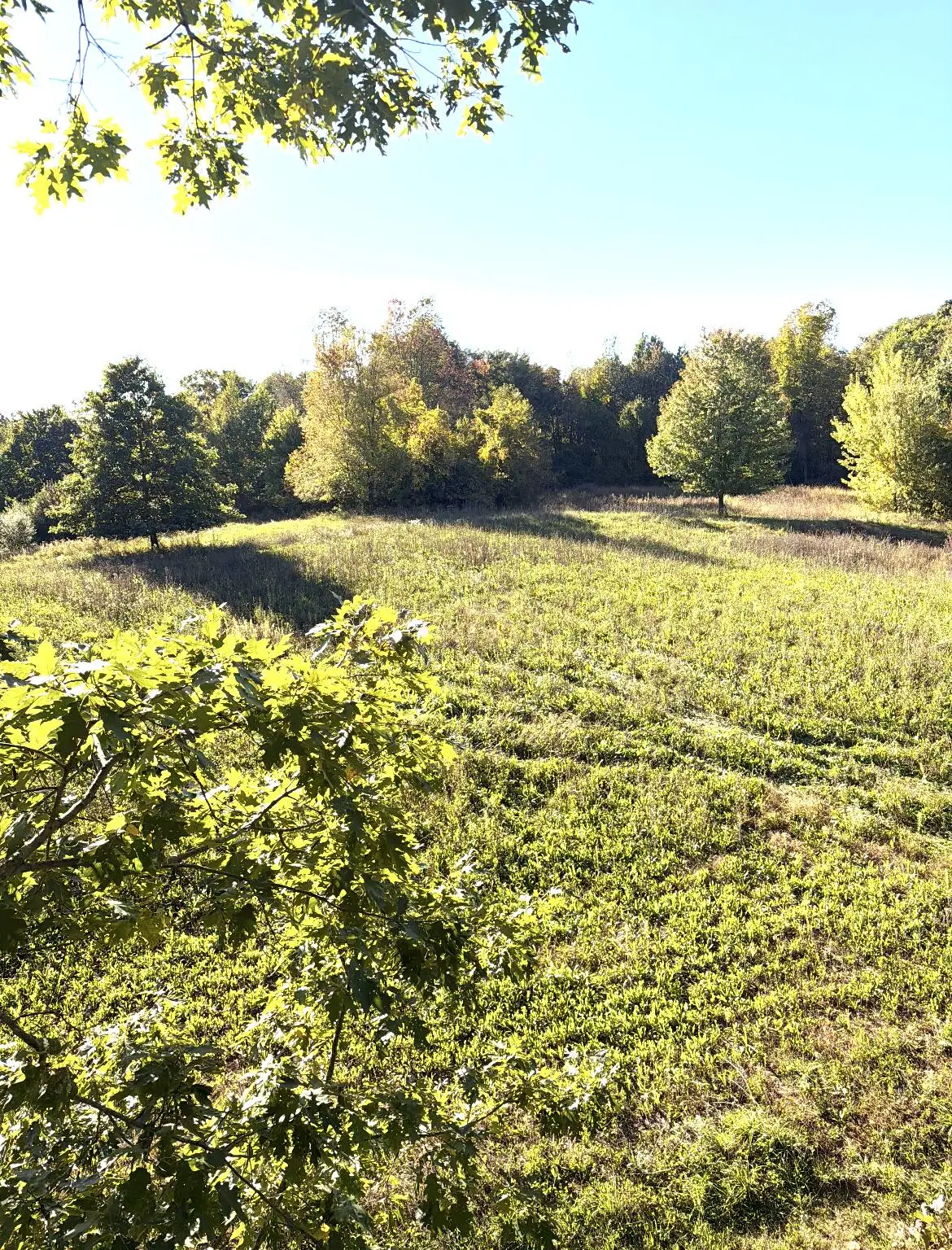 Mccain Road, Spring Arbor, MI 49283 - #1