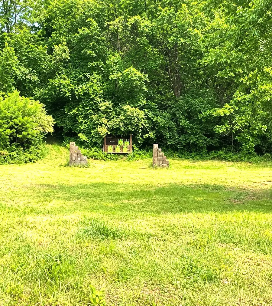 Mccain Road, Spring Arbor, MI 49283 - #2