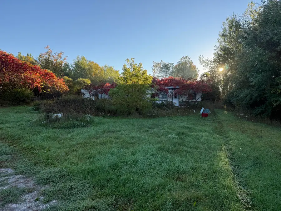 12334 20th Avenue, Remus, MI 49340 - #3