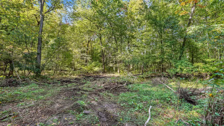 0 Pauline Drive, Napoleon, MI 49261 - #2