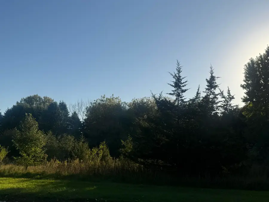 Lansing Avenue, Jackson, MI 49202 - #3
