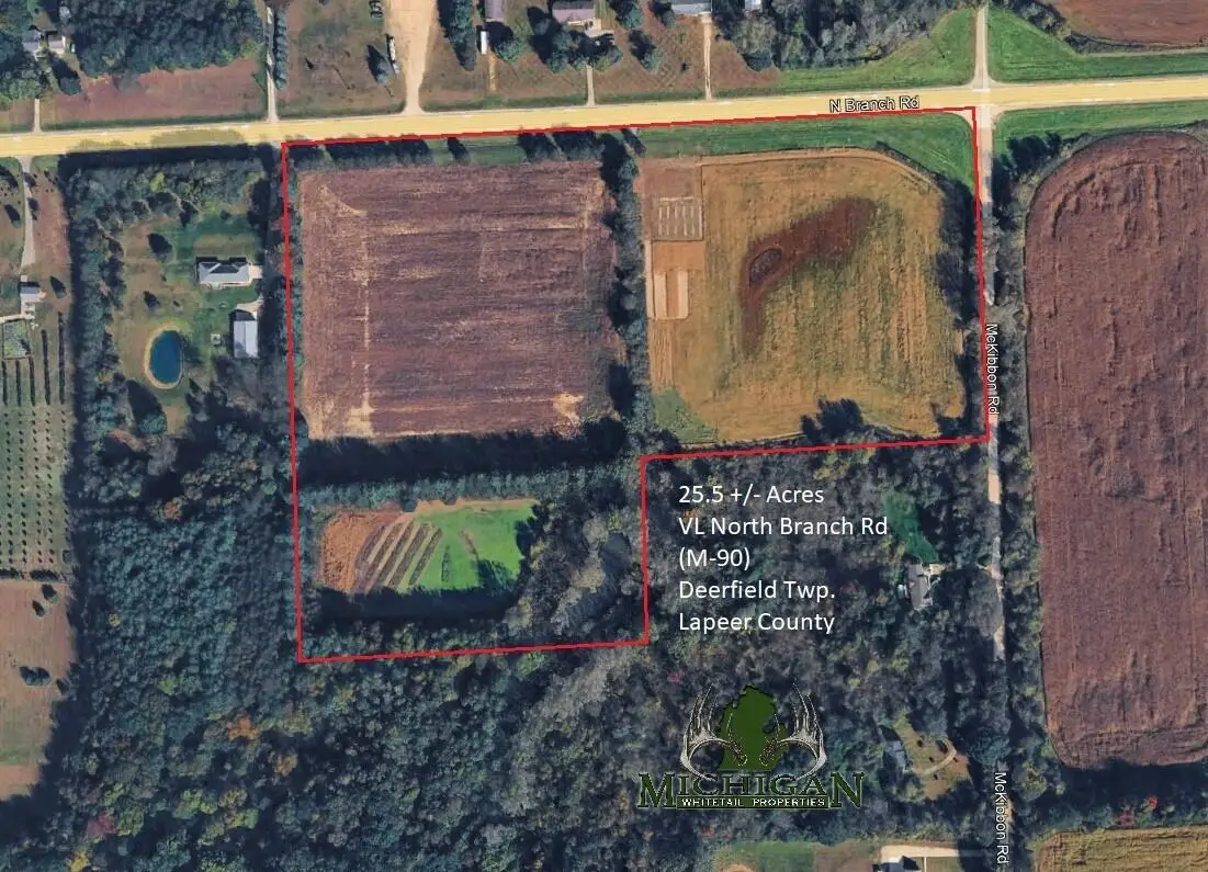 Vl North Branch Road, North Branch, MI 48461 - #1