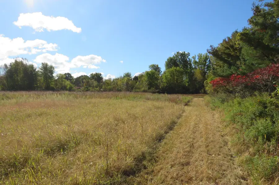 Vl North Branch Road, North Branch, MI 48461 - #2