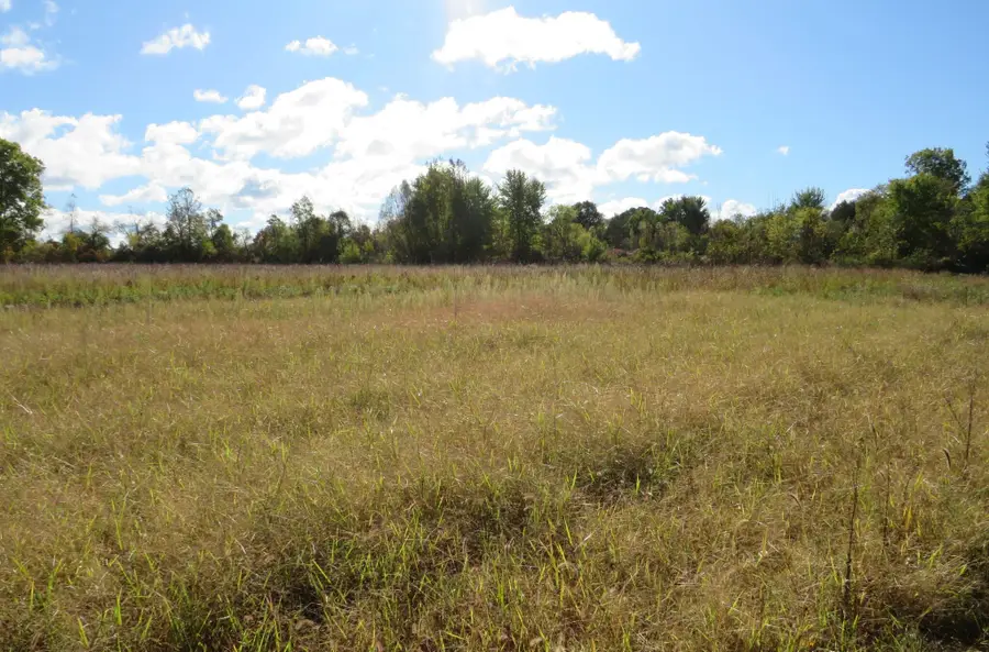 Vl North Branch Road, North Branch, MI 48461 - #3