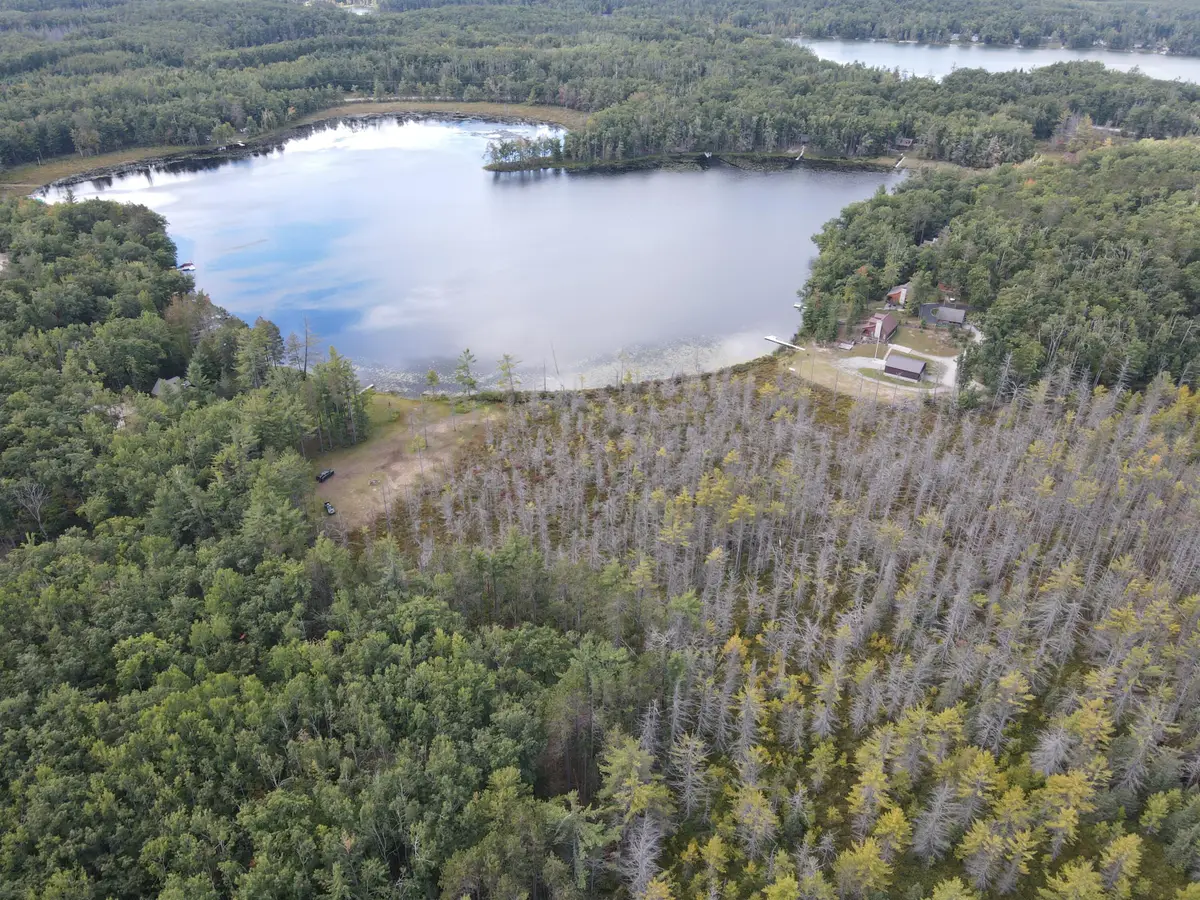 0VL Edgewater, Hillman, MI 49746 - #1