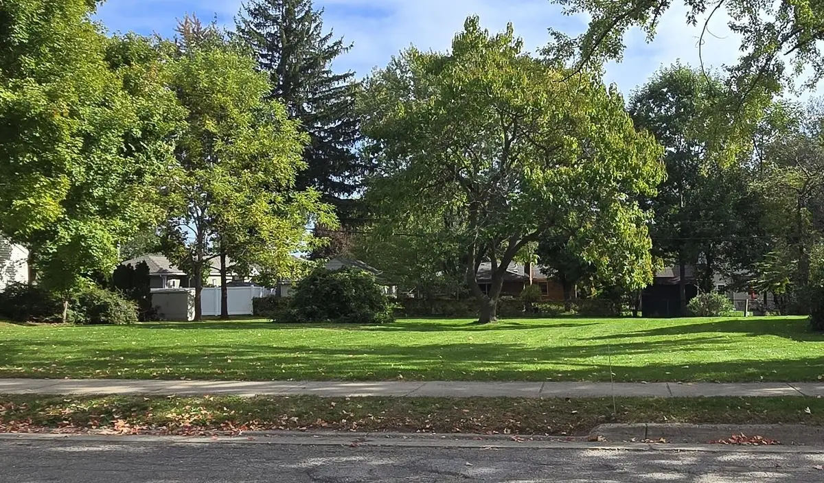 Horton Street, Northville, MI 48167 - #1