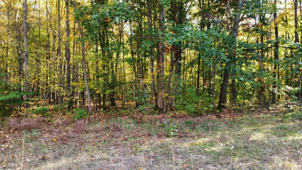 0 VL 105th Avenue, Allegan, MI 49010 - #1