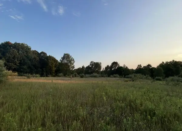 V/L E Pierce Road, Shelby, MI 49455