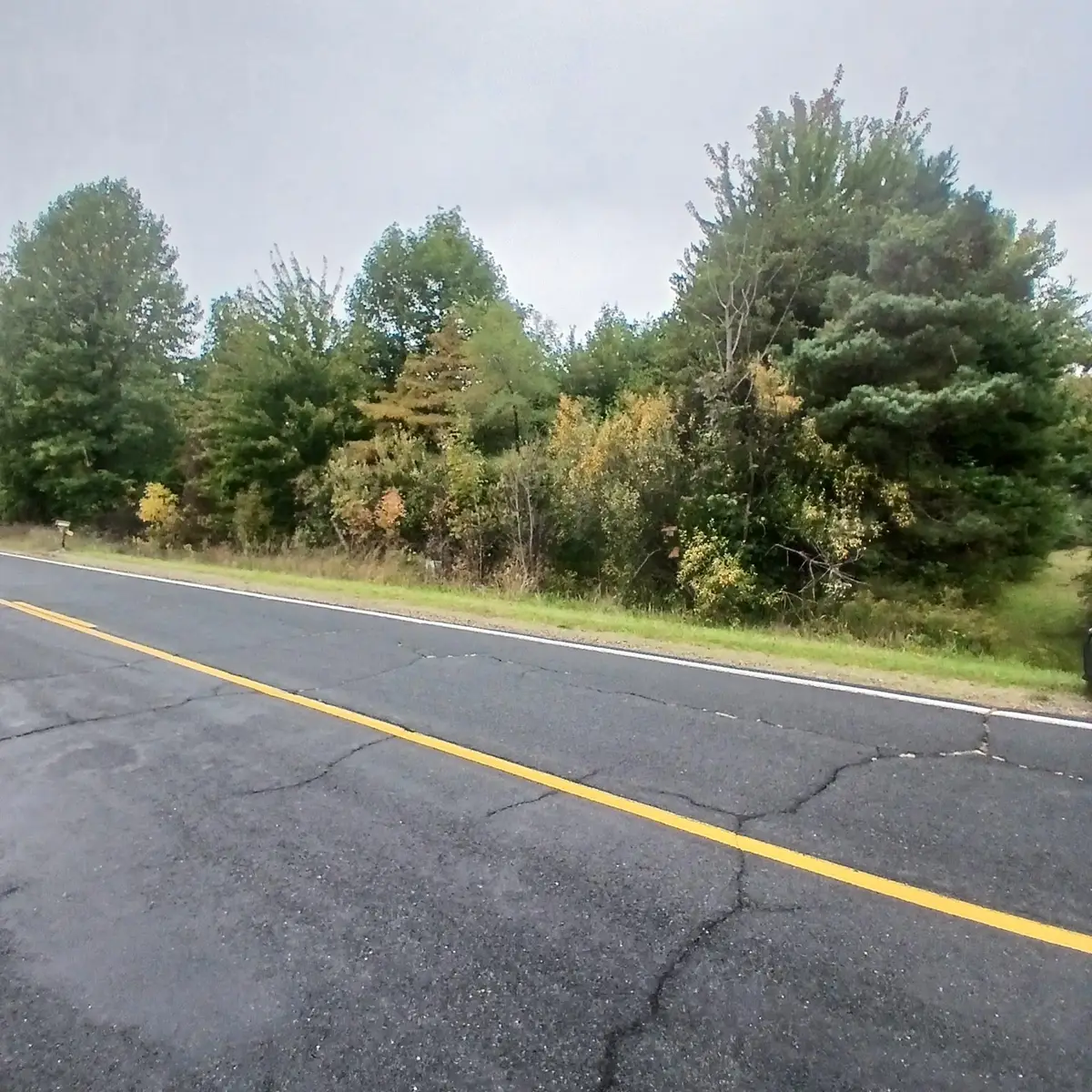 County Road 378, Covert, MI 49043 - #1