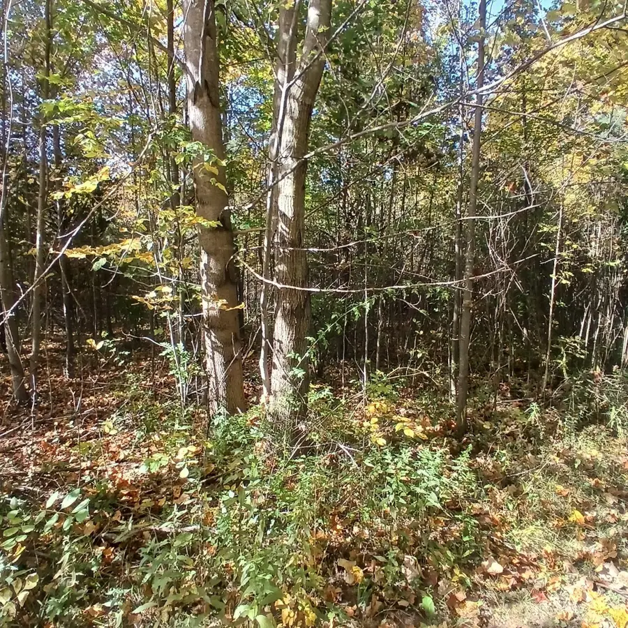 County Road 378, Covert, MI 49043 - #2