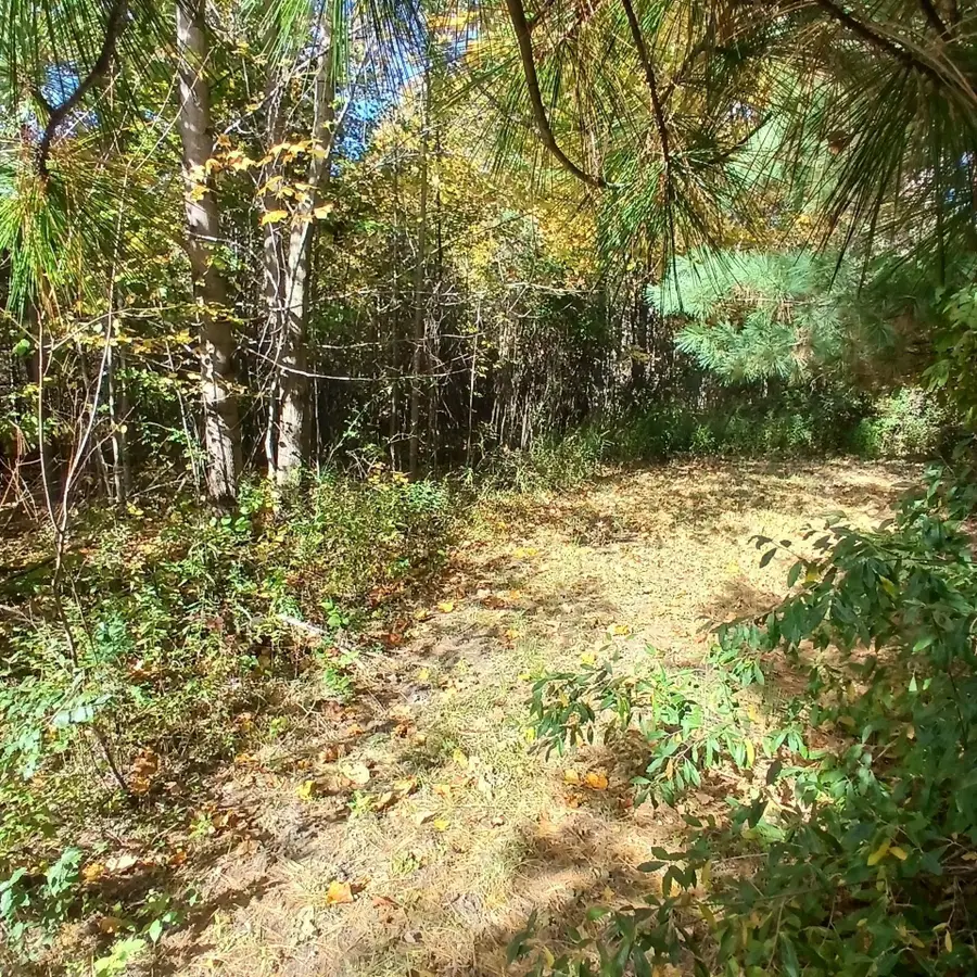 County Road 378, Covert, MI 49043 - #3