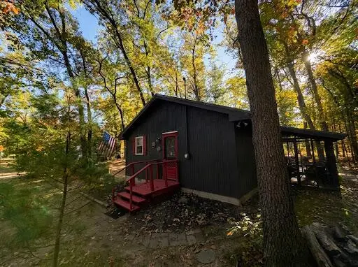 9847 S Orchid Avenue, Baldwin, MI 49304 - #2