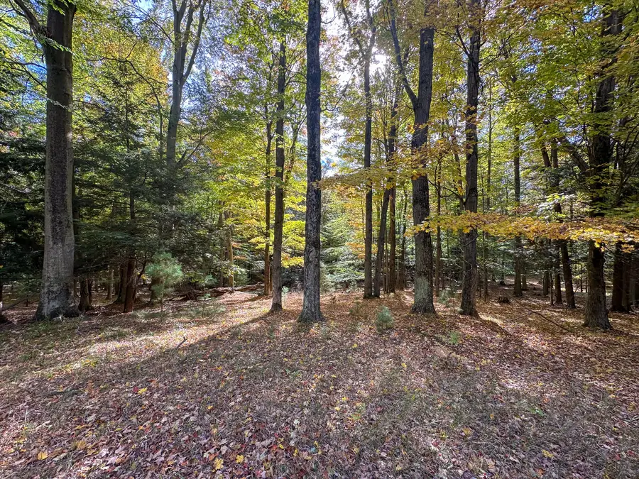 2330 N Peterson Road, Ludington, MI 49431 - #3
