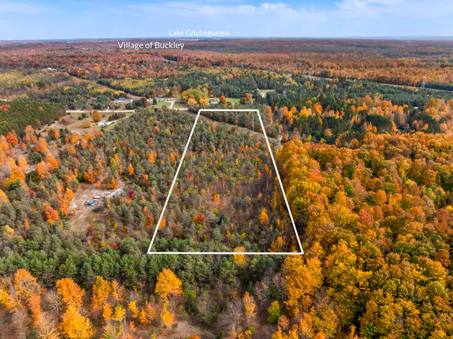 Viaduct Road, Copemish, MI 49625 - #2