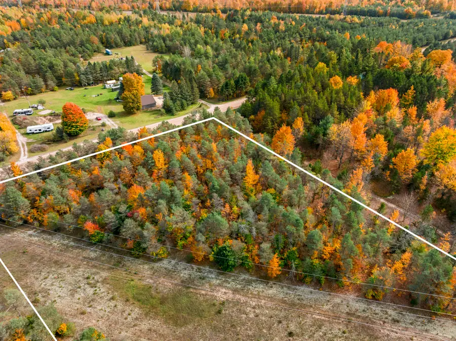 Viaduct Road, Copemish, MI 49625 - #3