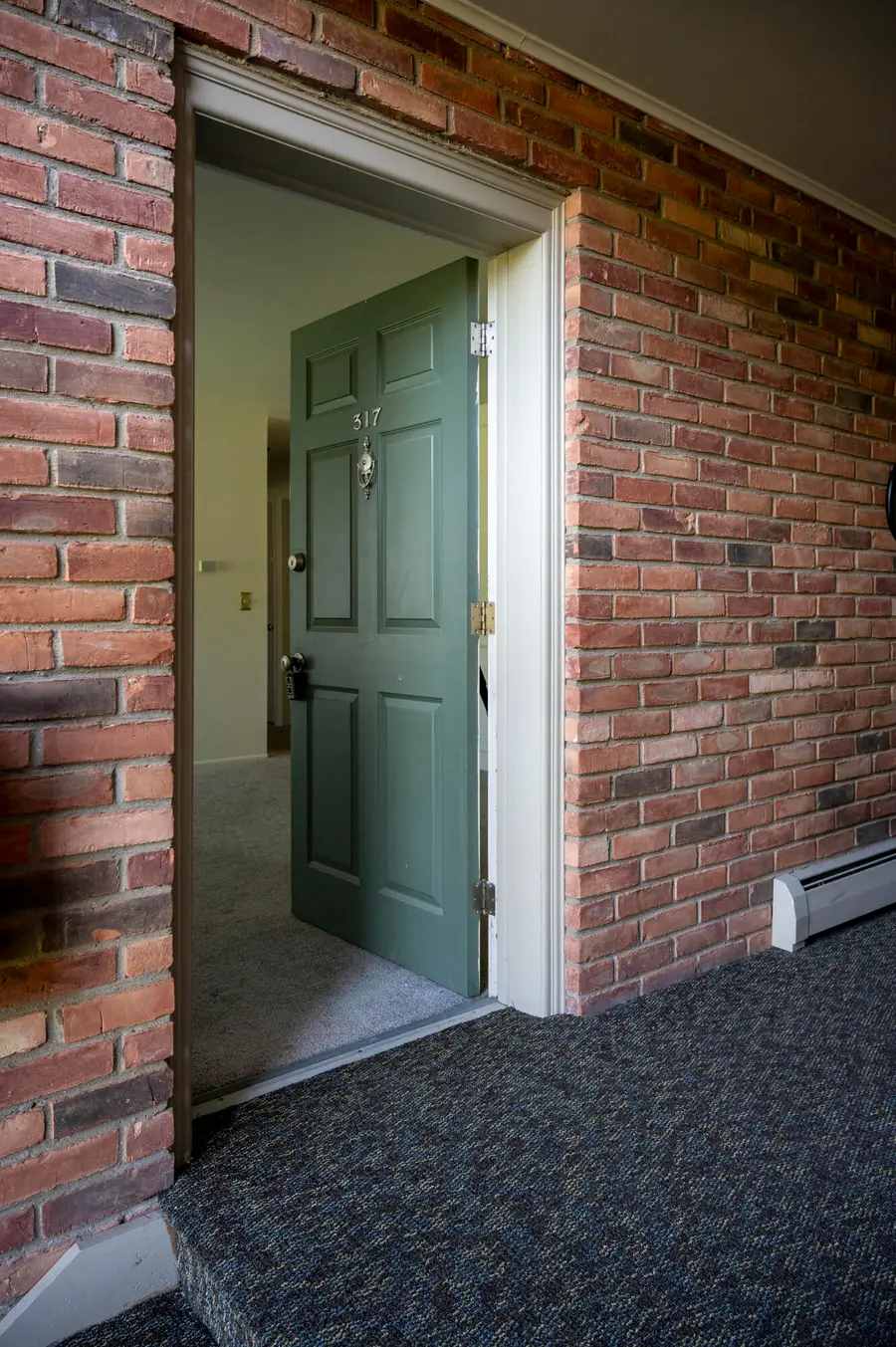 436 Romeo Road #317, Rochester, MI 48307 - #2