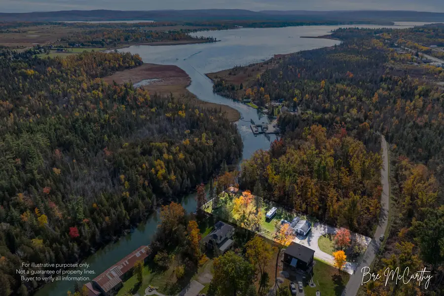 7847 Lake Street, Alanson, MI 49706 - #2