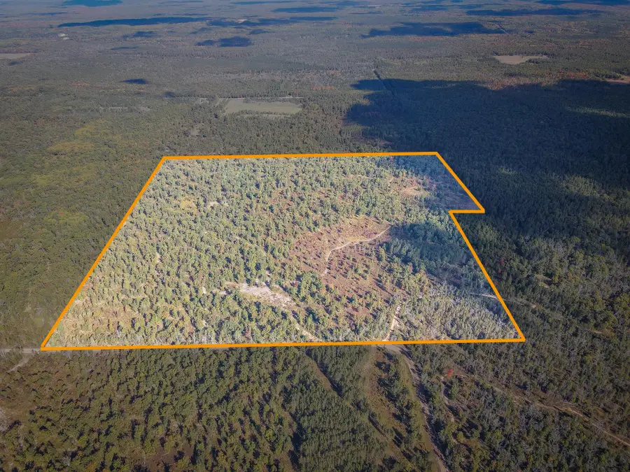 23646 W 12 Mile Road, Wellston, MI 49689 - #2