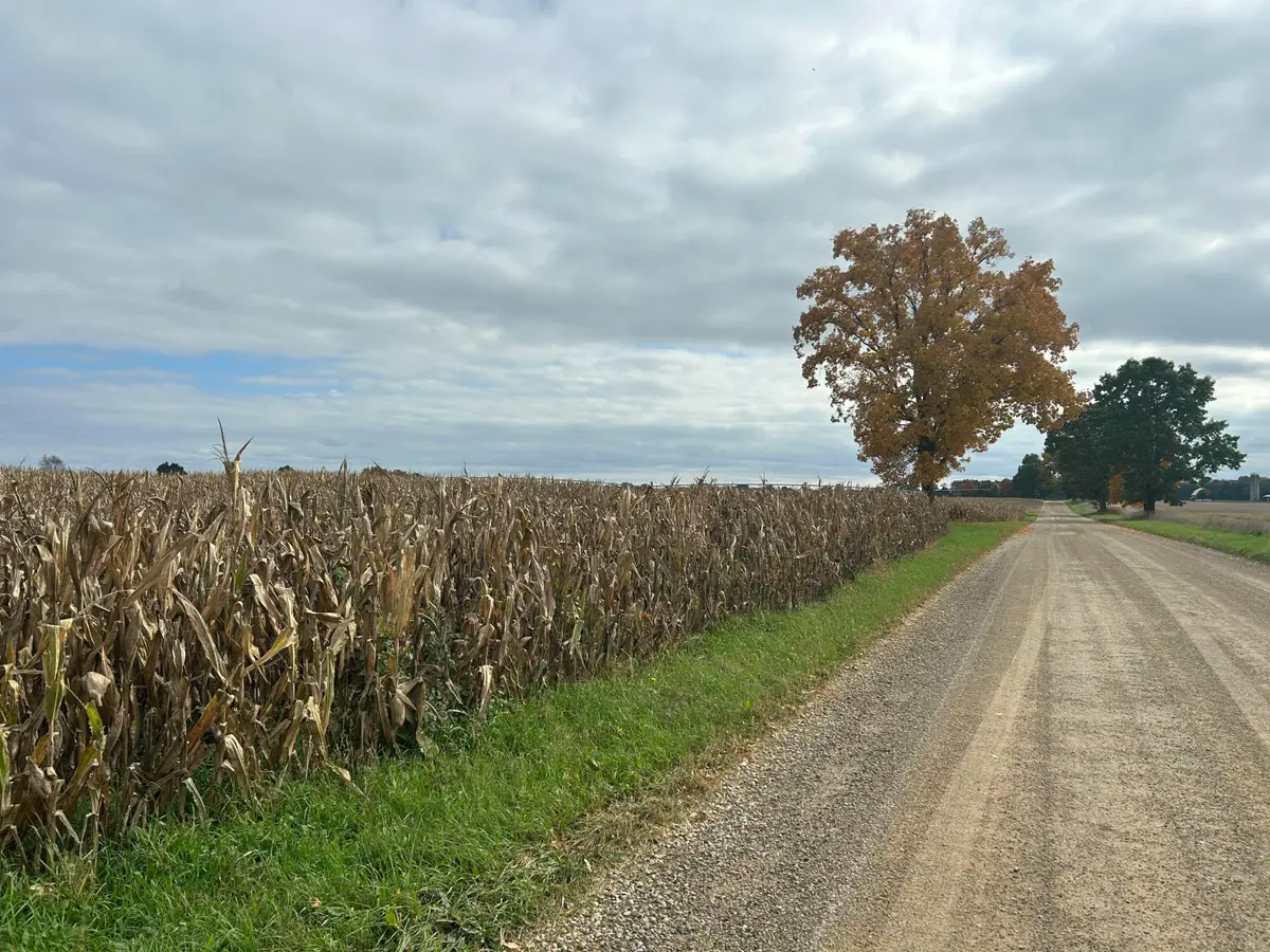 Noonan Road, Hickory Corners, MI 49060 - #1