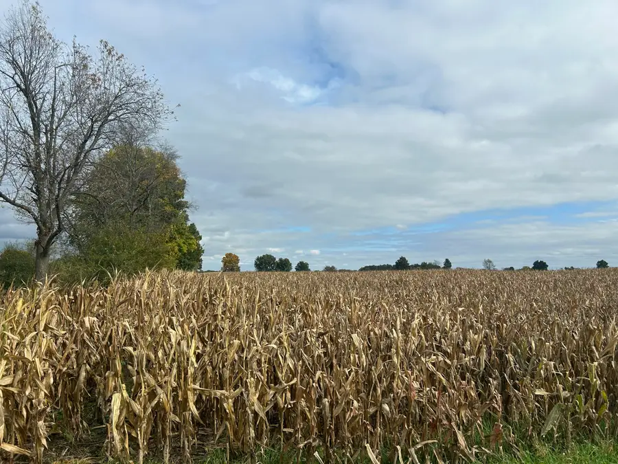 Noonan Road, Hickory Corners, MI 49060 - #2