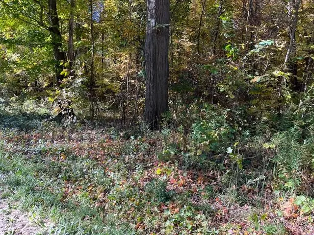 Warner Avenue #Parcel B, Fremont, MI 49412 - #3