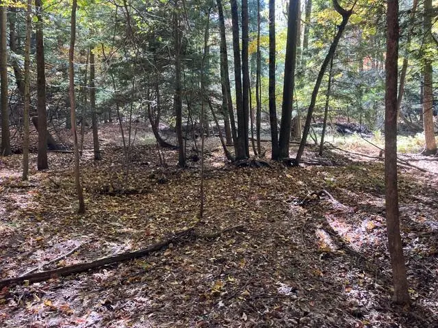 Warner Avenue #Parcel C, Fremont, MI 49412 - #3