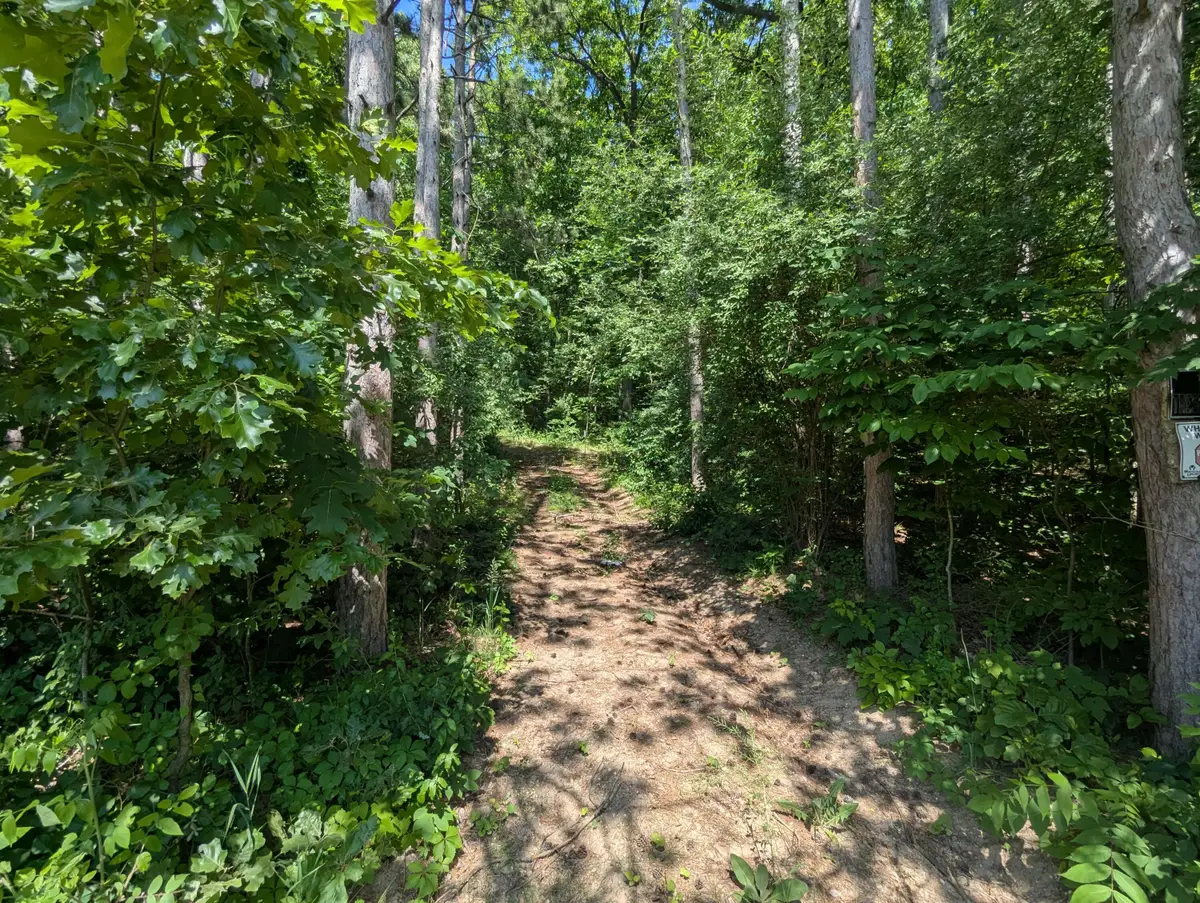 V/L North Avenue, Bellevue, MI 49021 - #1