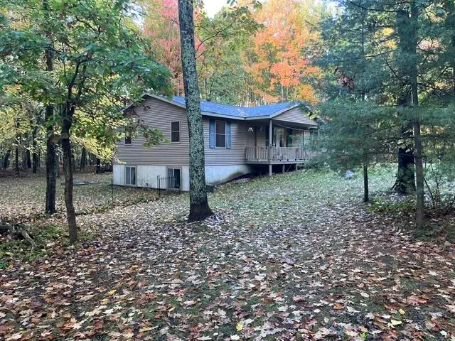 4168 W 9 Mile Road, Irons, MI 49644 - #2