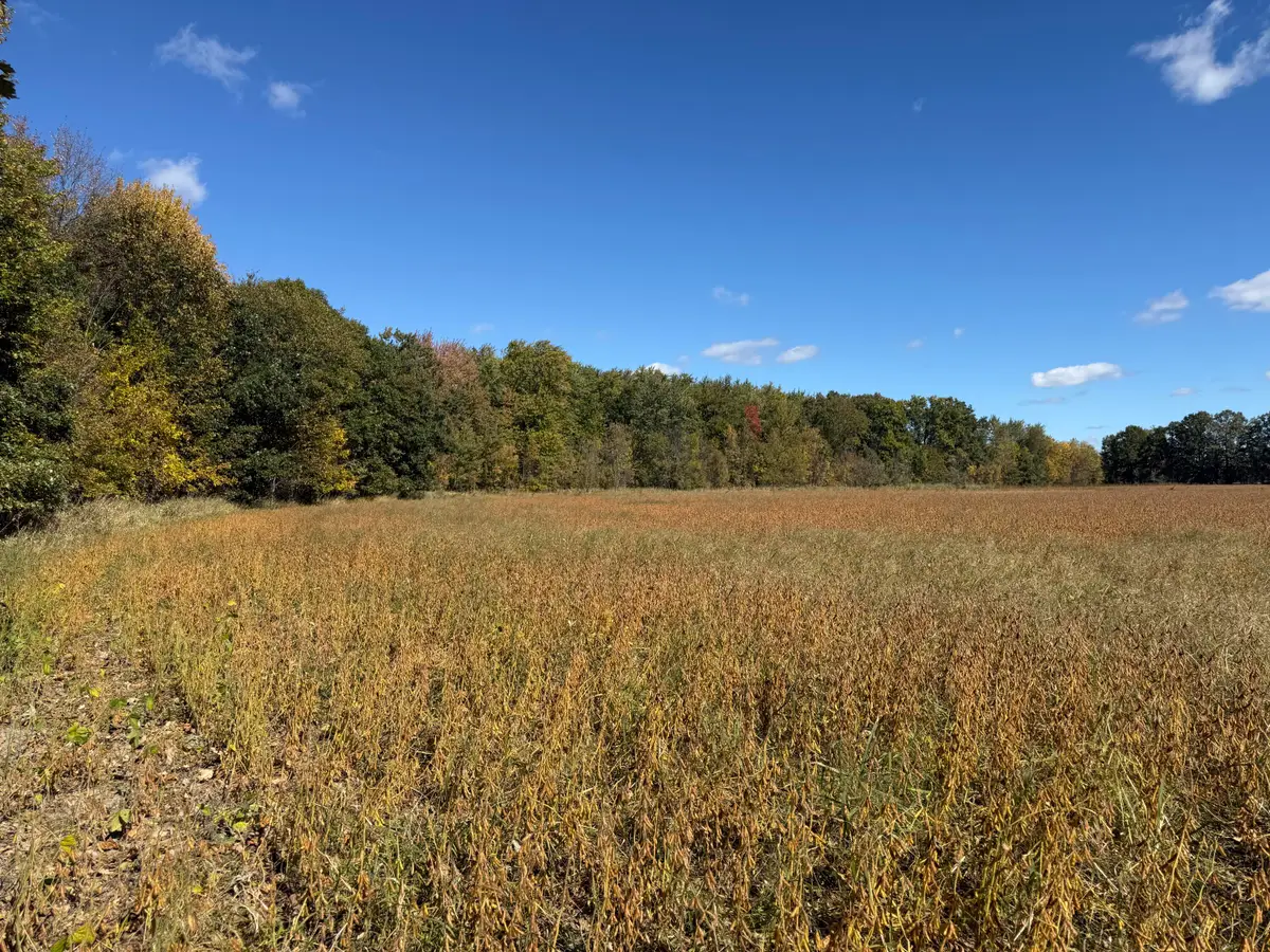 2867 Capac Road, Allenton, MI 48002 - #1