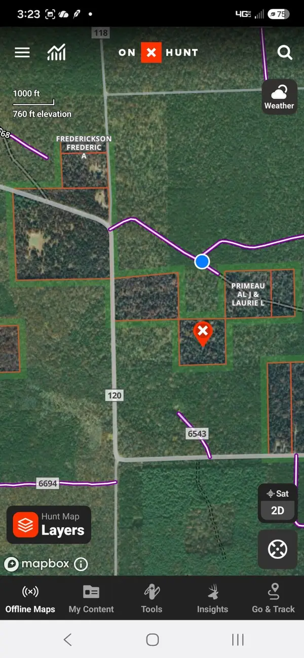 VL Federal Road 6545, Irons, MI 49644