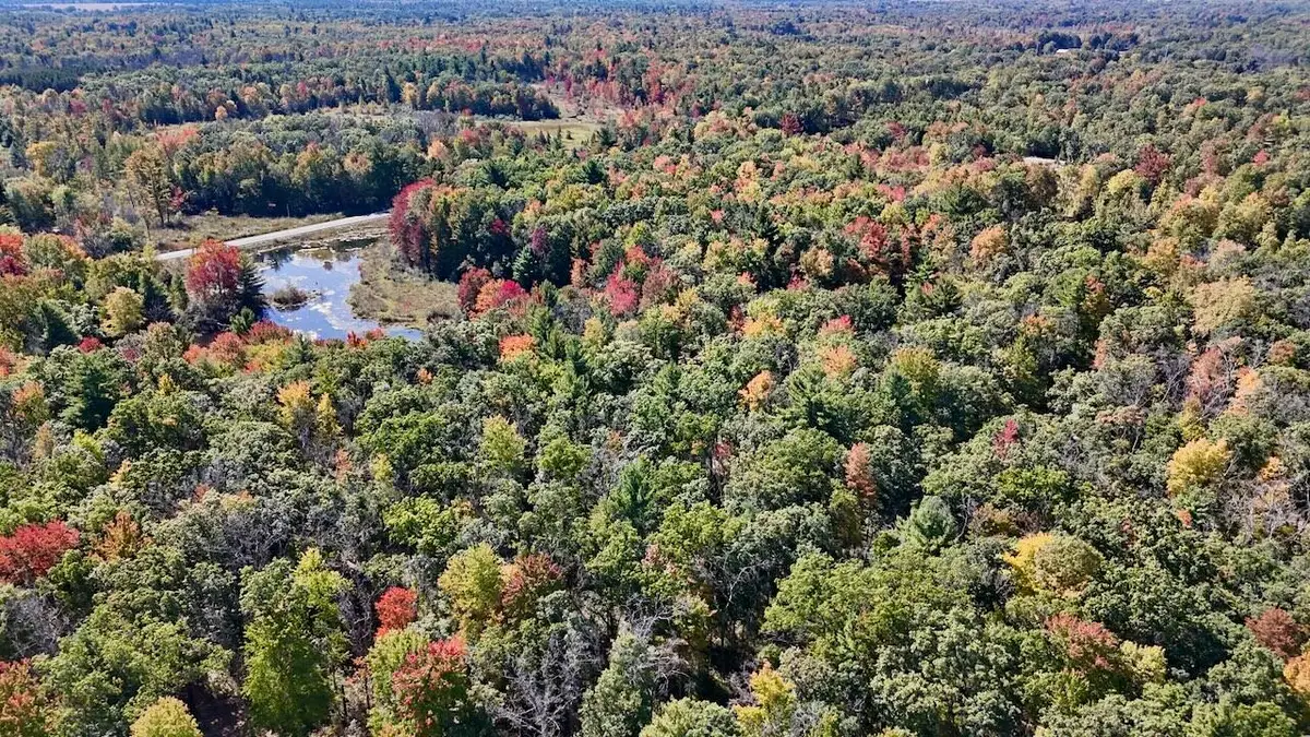 V/L N. Bear Track, White Cloud, MI 49349 - #1