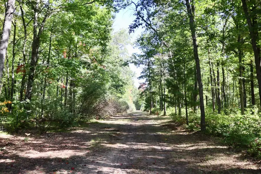 V/L N. Bear Track, White Cloud, MI 49349 - #2