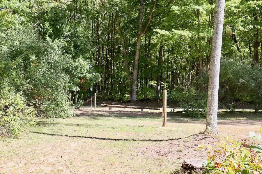 V/L N. Bear Track, White Cloud, MI 49349 - #3