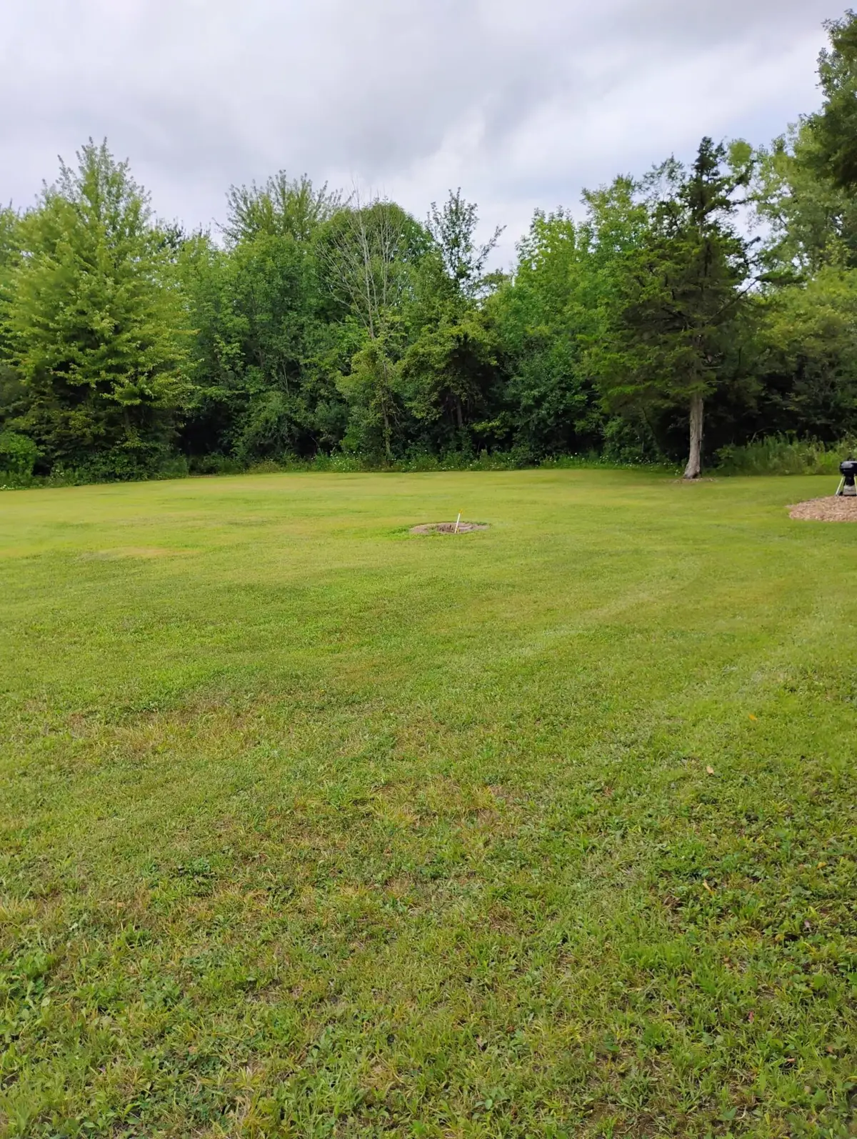 St. Pierre Drive, Flat Rock, MI 48134 - #1