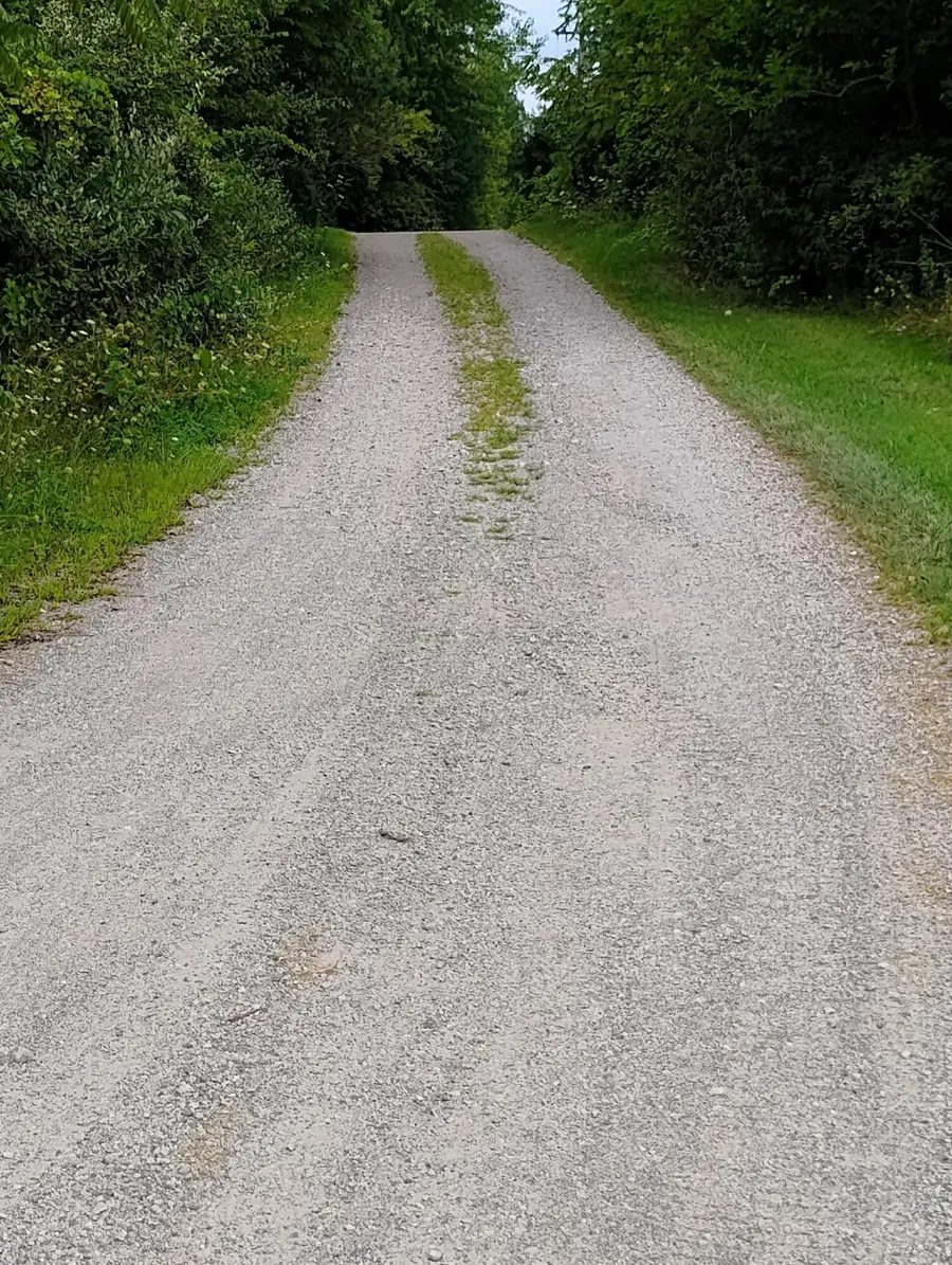 St. Pierre Drive, Flat Rock, MI 48134 - #3