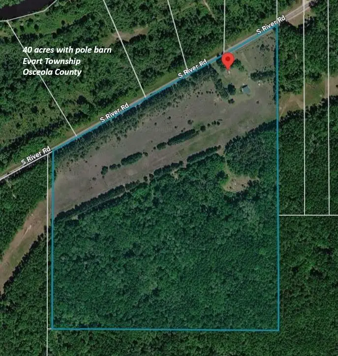 10529 S River Road, Evart, MI 49631 - #3