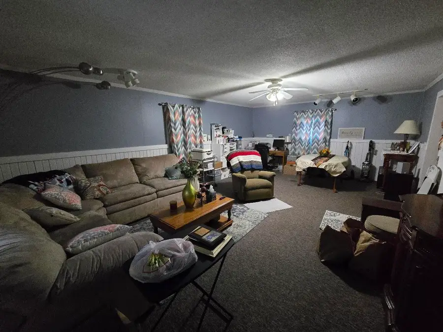 309 Vine Street, Paris, MI 49338 - #3