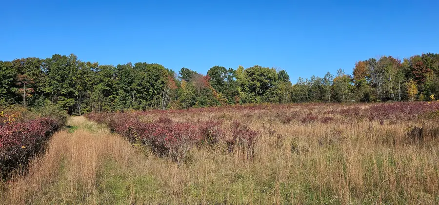 57900 County Road 380, Grand Junction, MI 49056 - #2