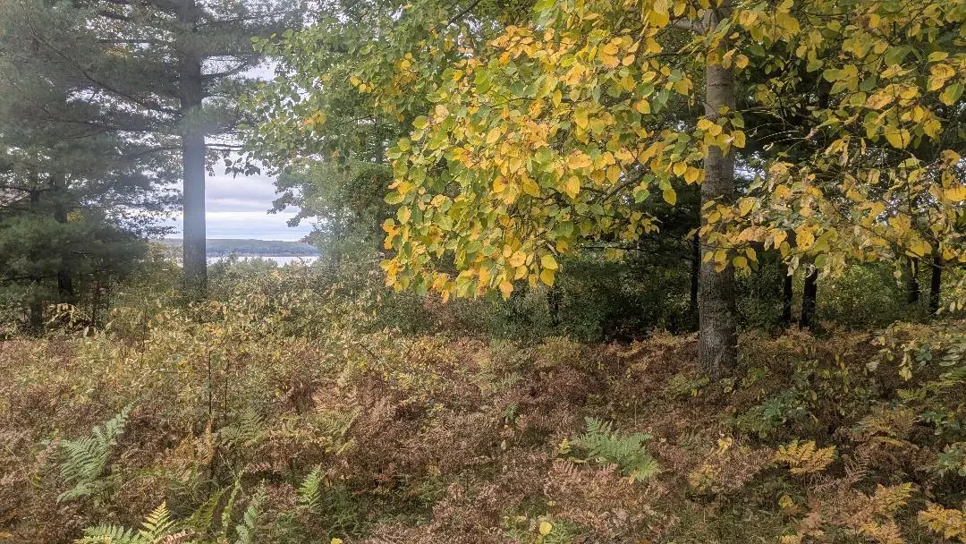 Emerald Ridge Ridge #23, Onekama, MI 49675 - #1