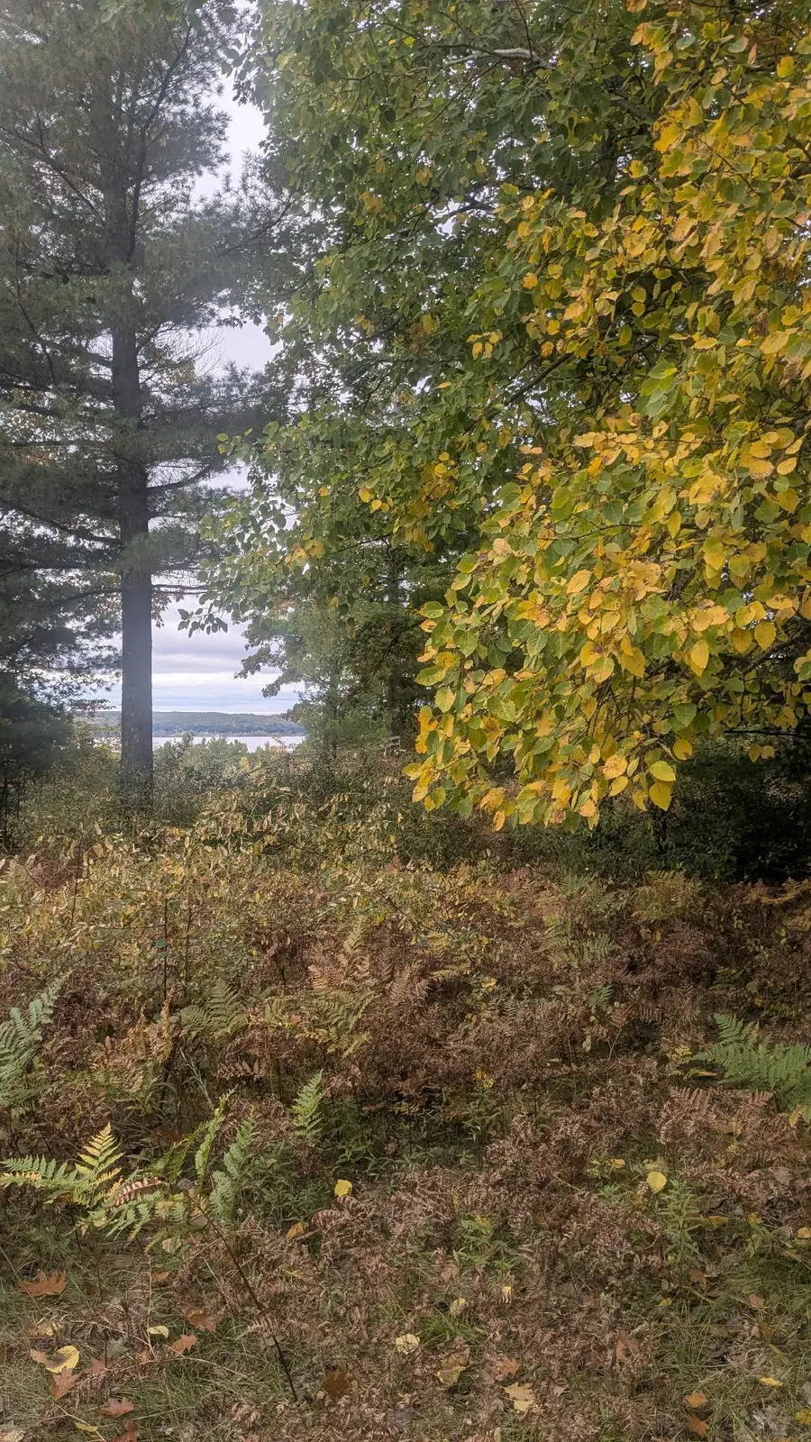 Emerald Ridge Ridge #23, Onekama, MI 49675 - #3