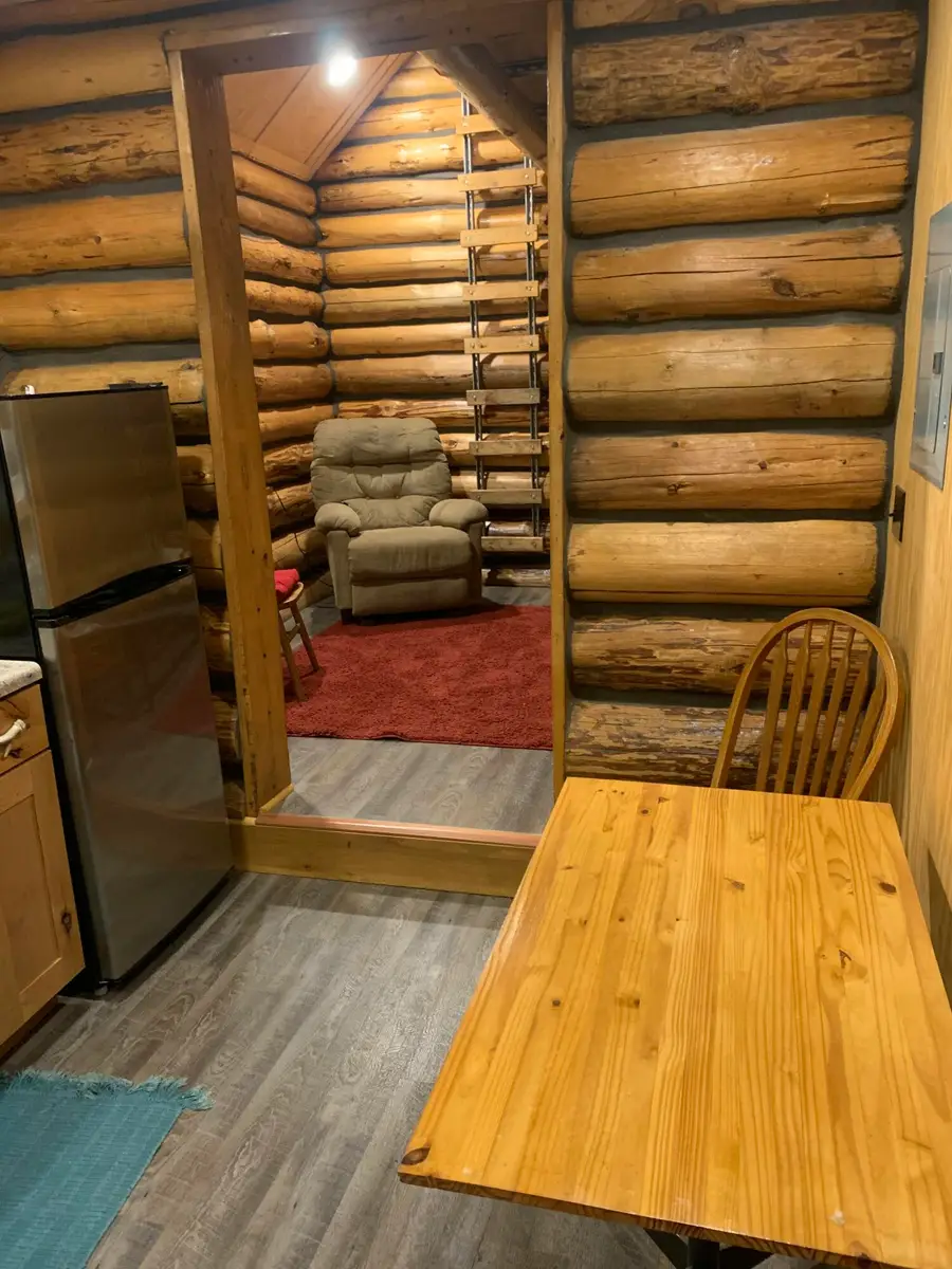 2798 E Buchanan Road, White Cloud, MI 49349 - #3