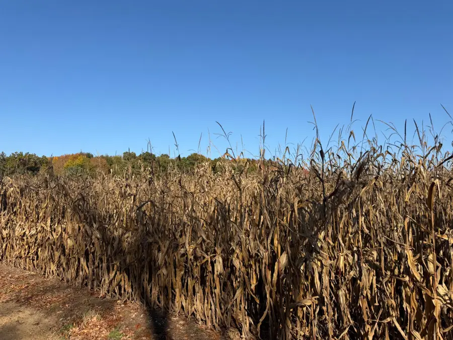 Goodenough Road, Marcellus, MI 49067 - #2