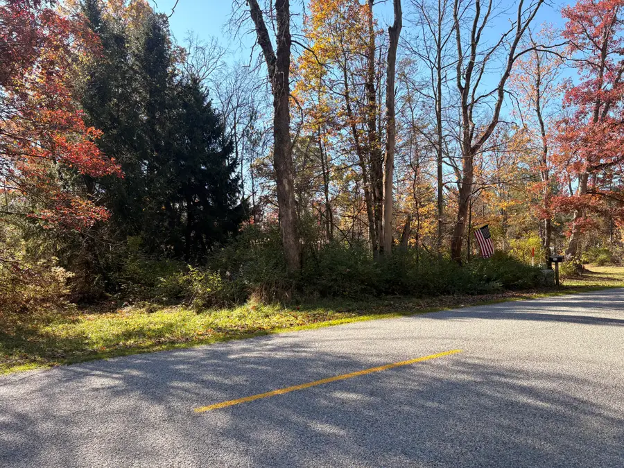962 W 18 Mile Road, Bitely, MI 49309 - #2